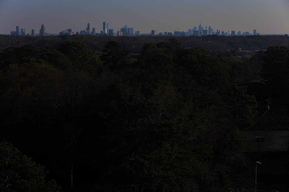 Appraisal in Alpharetta,  Georgia Cartoon Image by AppraiseItNow