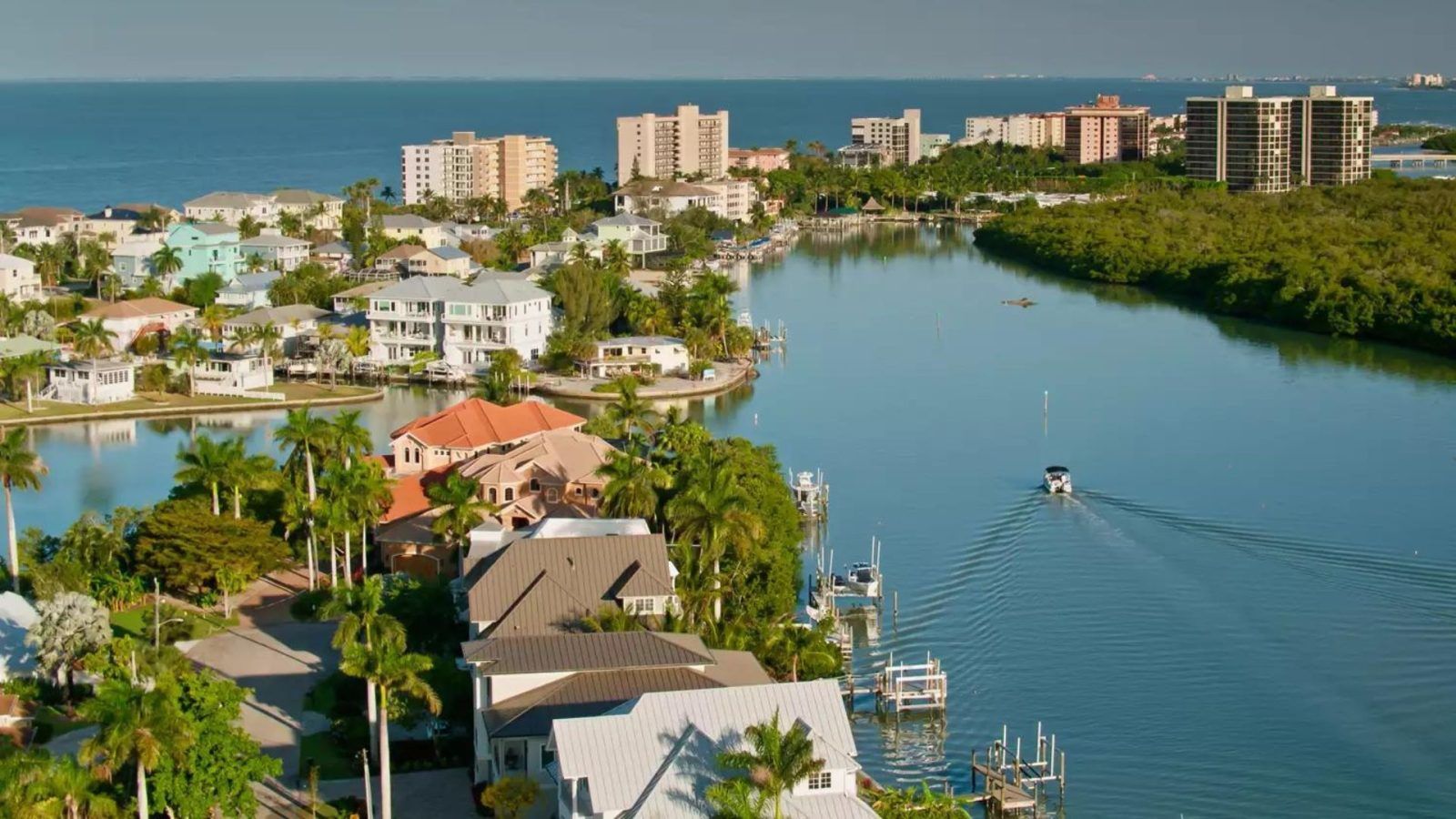 Appraisal in Bonita Springs, Florida Cartoon Image by AppraiseItNow