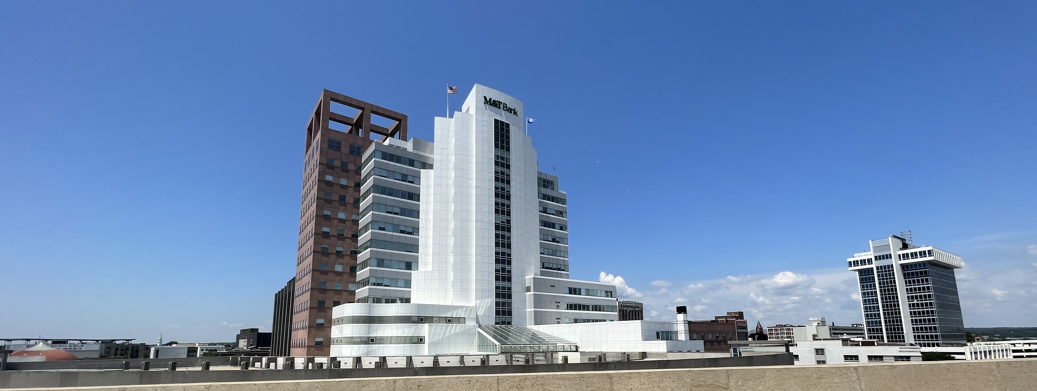 Appraisal in Bridgeport,  Connecticut Cartoon Image by AppraiseItNow