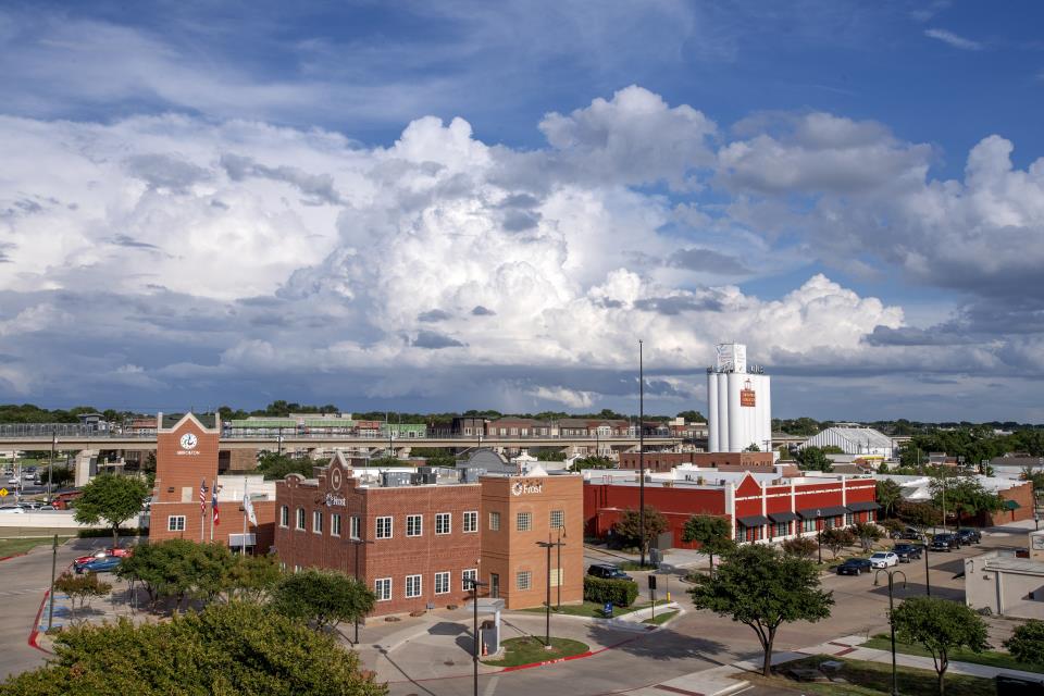 Appraisal in Carrollton,  Texas Cartoon Image by AppraiseItNow