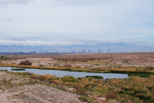 Appraisal in Henderson,  Nevada Cartoon Image by AppraiseItNow