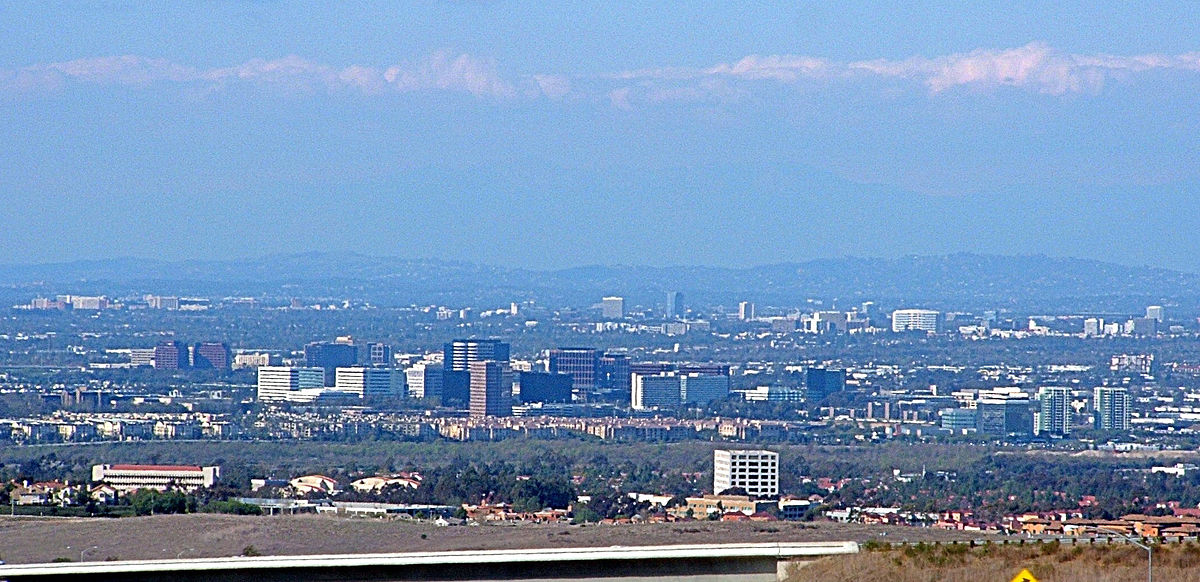 Appraisal in Irvine,  California Cartoon Image by AppraiseItNow