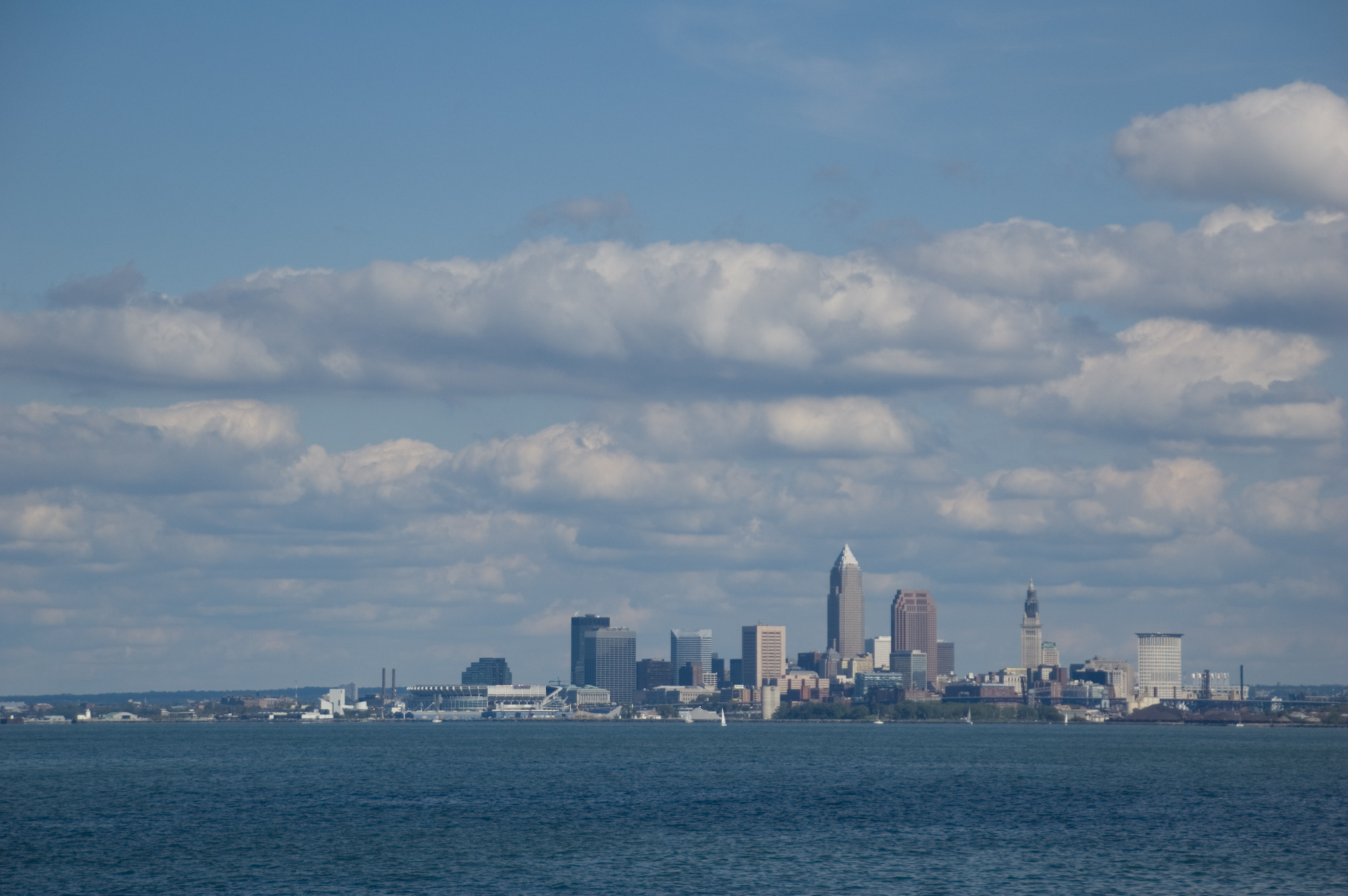 Appraisal in Lakewood,  Colorado Cartoon Image by AppraiseItNow