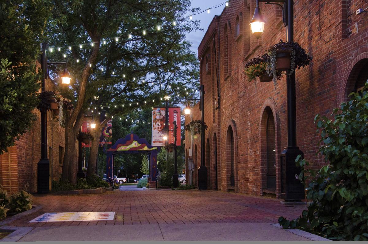 Appraisal in Longmont,  Colorado Cartoon Image by AppraiseItNow