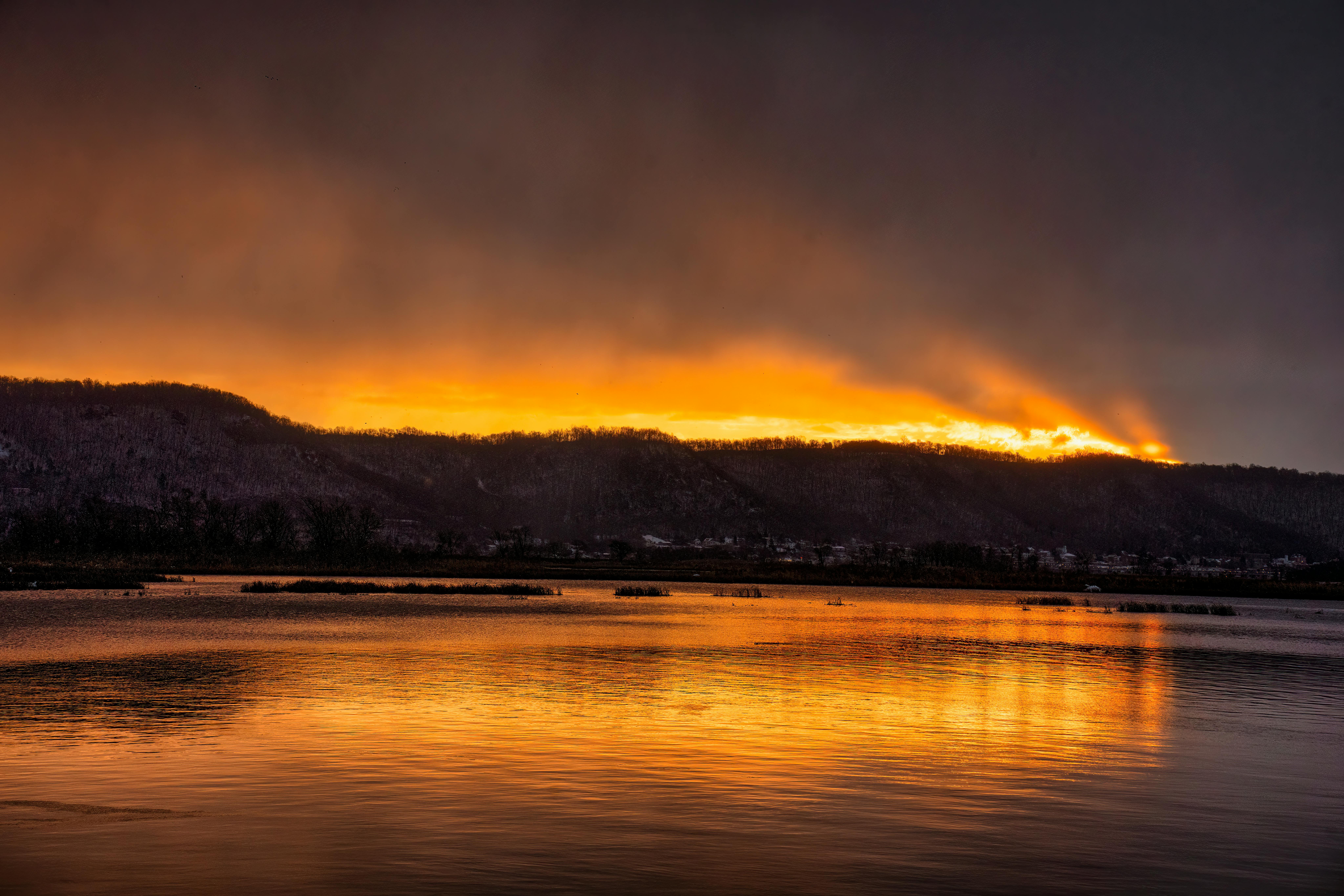 Appraisal in Loveland, Colorado Cartoon Image by AppraiseItNow