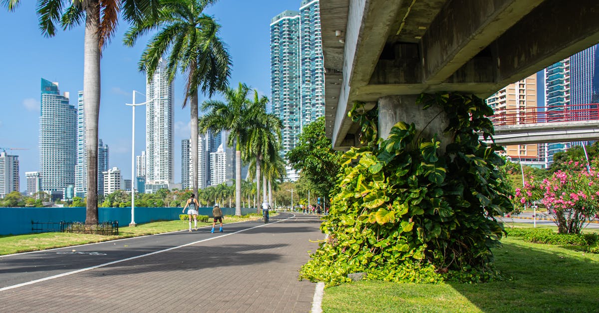 Appraisal in Palm Beach Gardens, Florida Cartoon Image by AppraiseItNow