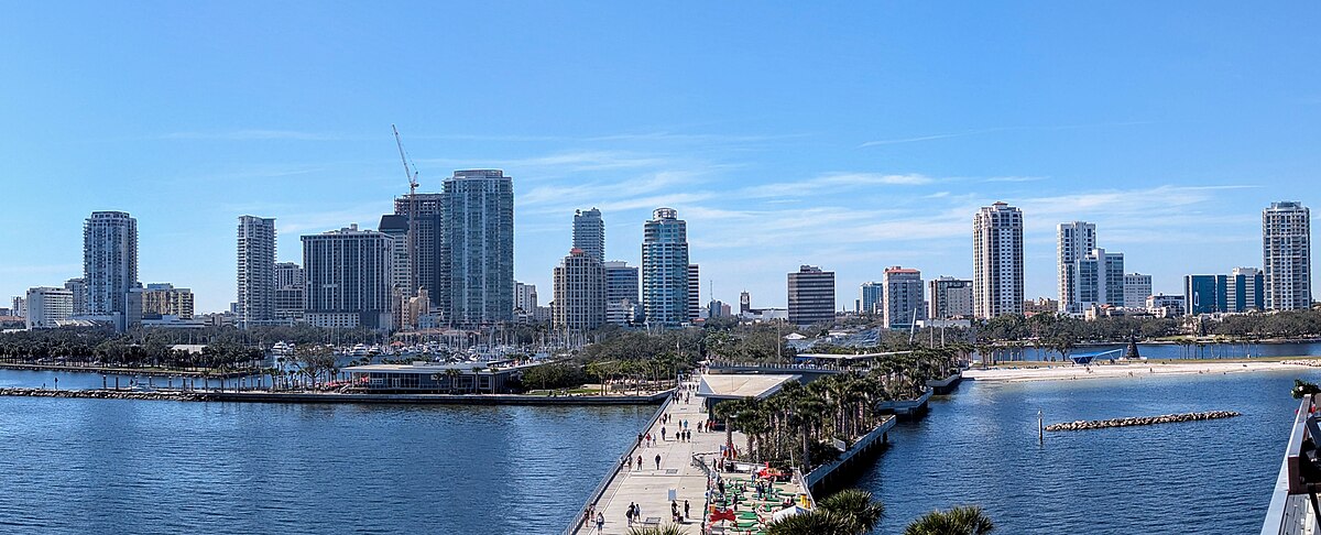 Appraisal in Saint Petersburg, Florida Cartoon Image by AppraiseItNow