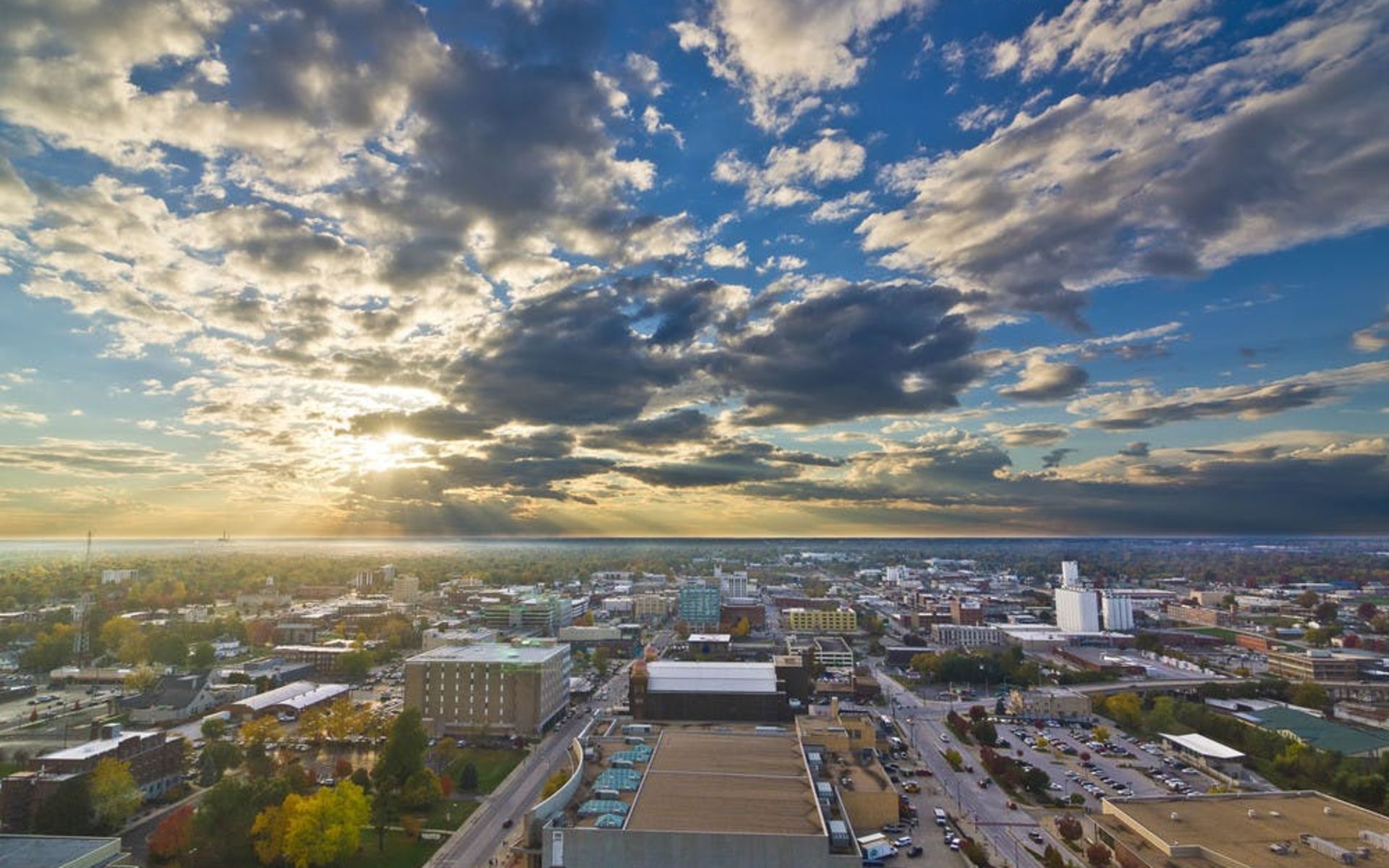 Appraisal in Springfield, Missouri Cartoon Image by AppraiseItNow