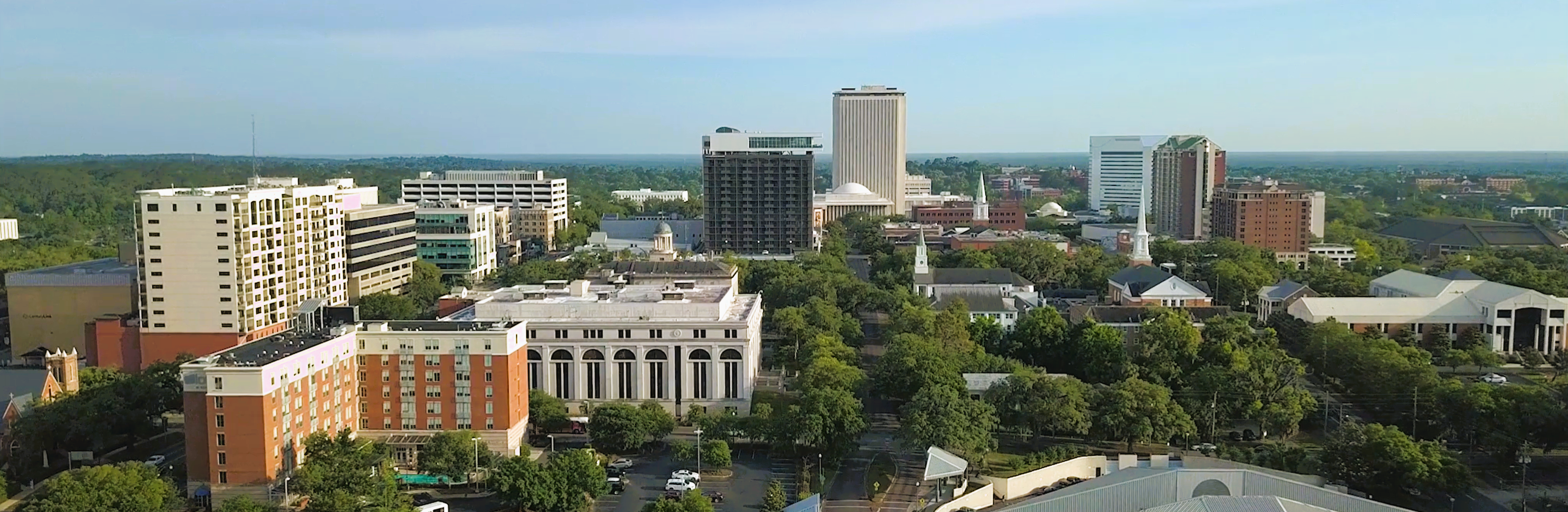 Appraisal in Tallahassee,  Florida Cartoon Image by AppraiseItNow