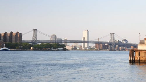 Appraisal in Williamsburg,  Virginia Cartoon Image by AppraiseItNow